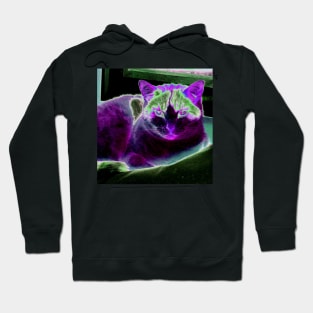 Daisy Cat Abstract Hoodie